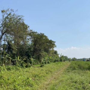 出售地皮-泰国-清迈-56000-平方米-21.43-01