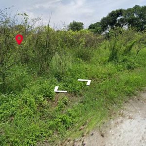 出售地皮-泰国-清迈-57412-平方米-107.52-01