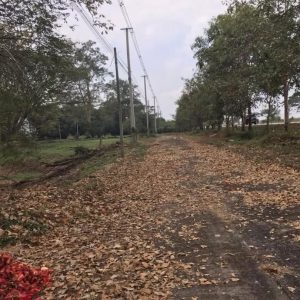 出售地皮-泰国-清迈-576-平方米-223.23-01