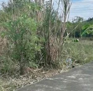 出售地皮-泰国-清迈-58800-平方米-2.32-01