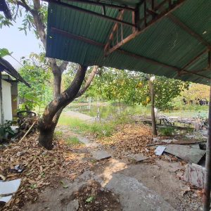 出售地皮-泰国-清迈-5944-平方米-224.98-01