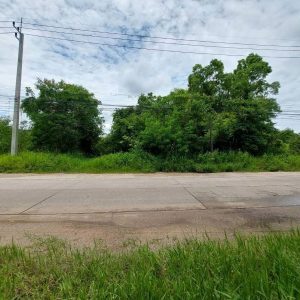 出售地皮-泰国-清迈-5984-平方米-74.49-01