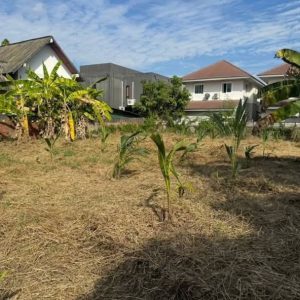 出售地皮-泰国-清迈-600-平方米-0-01