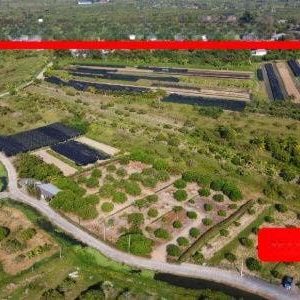 出售地皮-泰国-清迈-600-平方米-30.23-01