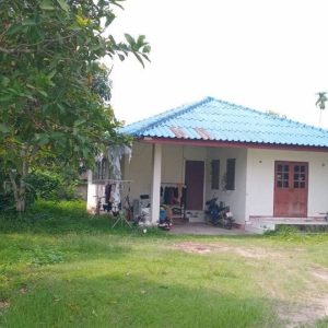 出售地皮-泰国-清迈-620-平方米-138.26-01