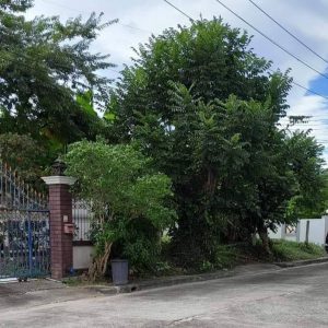 出售地皮-泰国-清迈-632-平方米-320.09-01