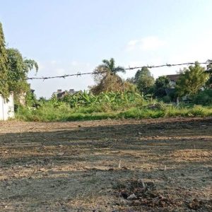 出售地皮-泰国-清迈-636-平方米-198.95-01