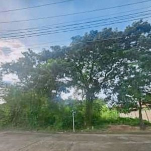 出售地皮-泰国-清迈-652-平方米-226.15-01