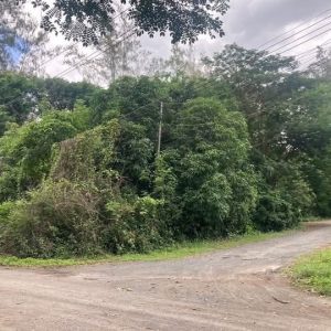 出售地皮-泰国-清迈-660-平方米-54.58-01