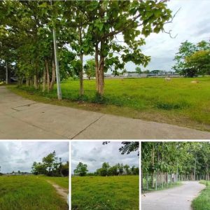 出售地皮-泰国-清迈-6600-平方米-0-01