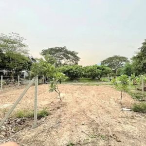 出售地皮-泰国-清迈-668-平方米-302.83-01