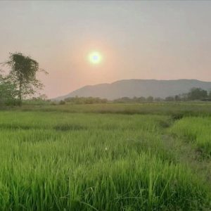 出售地皮-泰国-清迈-6776-平方米-0-01