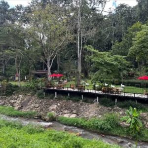 出售地皮-泰国-清迈-68800-平方米-0-01