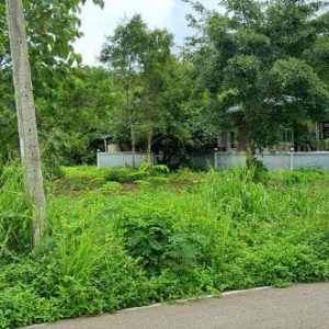 出售地皮-泰国-清迈-7080-平方米-0-01