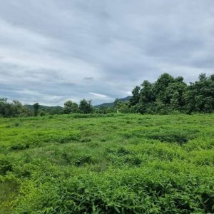 出售地皮-泰国-清迈-72000-平方米-0-01