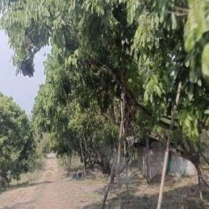 出售地皮-泰国-清迈-72000-平方米-0.2-01