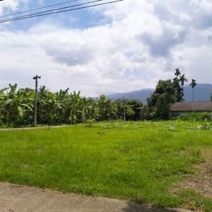 出售地皮-泰国-清迈-728-平方米-0-01