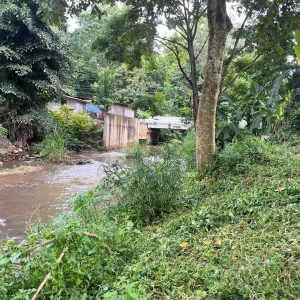 出售地皮-泰国-清迈-7308-平方米-117.32-01