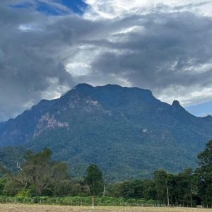 出售地皮-泰国-清迈-788-平方米-0-01