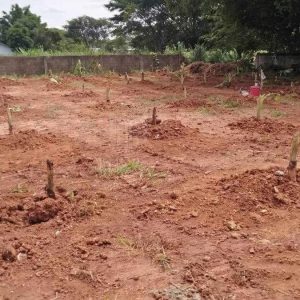 出售地皮-泰国-清迈-792-平方米-188.58-01