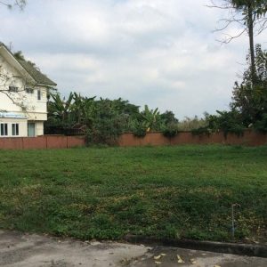 出售地皮-泰国-清迈-796-平方米-215.38-01