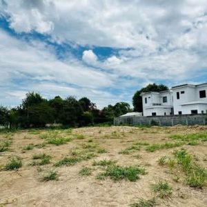 出售地皮-泰国-清迈-796-平方米-254.15-01