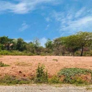 出售地皮-泰国-清迈-800-平方米-150-01