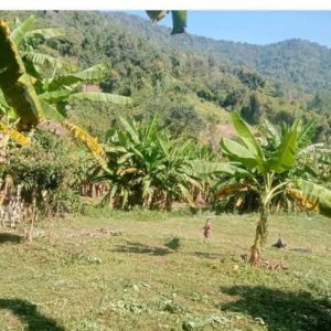 出售地皮-泰国-清迈-8000-平方米-0-01