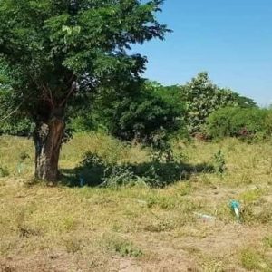 出售地皮-泰国-清迈-8136-平方米-14.78-01