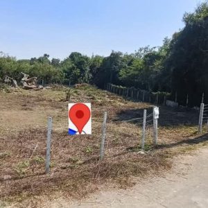 出售地皮-泰国-清迈-816-平方米-0-01