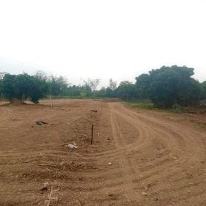 出售地皮-泰国-清迈-81600-平方米-0-01