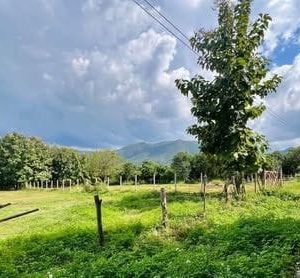 出售地皮-泰国-清迈-81600-平方米-0.66-01