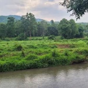 出售地皮-泰国-清迈-83200-平方米-1.4-01