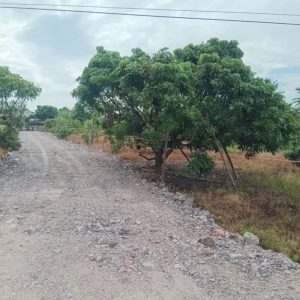 出售地皮-泰国-清迈-86440-平方米-0-01