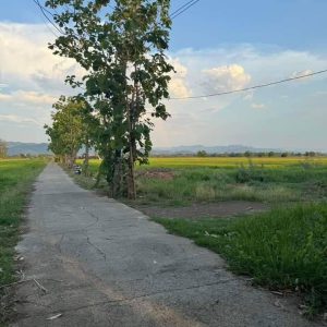 出售地皮-泰国-清迈-86496-平方米-0-01