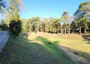 出售地皮-泰国-清迈-86740-平方米-13.86-01