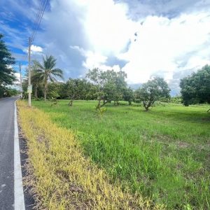 出售地皮-泰国-清迈-8800-平方米-56.52-01