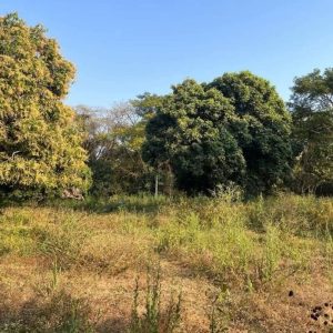 出售地皮-泰国-清迈-88316-平方米-5.03-01