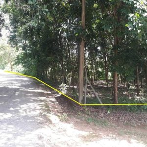 出售地皮-泰国-清迈-9056-平方米-24.63-01