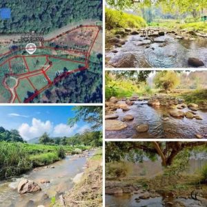 出售地皮-泰国-清迈-91348-平方米-13.15-01