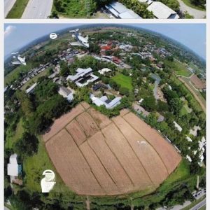 出售地皮-泰国-清迈-91456-平方米-6.72-01