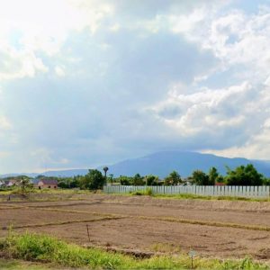 出售地皮-泰国-清迈-9600-平方米-196.43-01