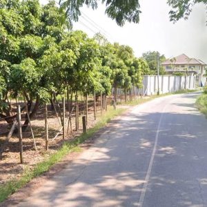 出售地皮-泰国-清迈-9600-平方米-56.8-01