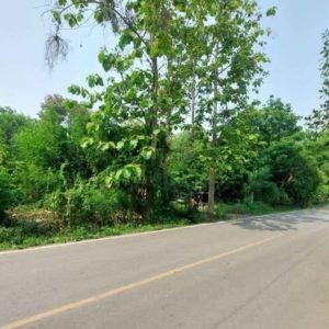 出售地皮-泰国-清迈-96300-平方米-0-01