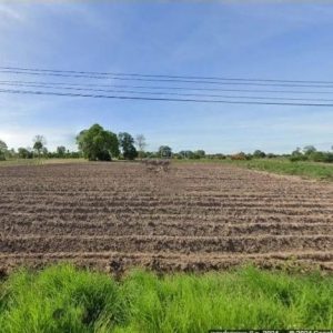 出售地皮-泰国-猜纳-31484-平方米-1.06-01