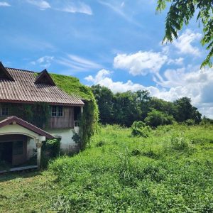 出售地皮-泰国-猜纳-5320-平方米-63.83-01