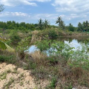 出售地皮-泰国-甲米-1152-平方米-28.29-01