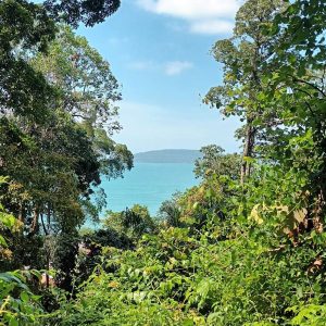 出售地皮-泰国-甲米-4800-平方米-428.58-01