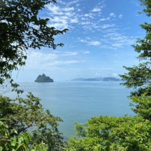 出售地皮-泰国-甲米-83562.8-平方米-206.49-01