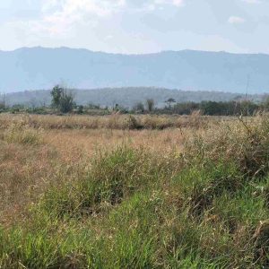 出售地皮-泰国-碧差汶-14960-平方米-10.32-01